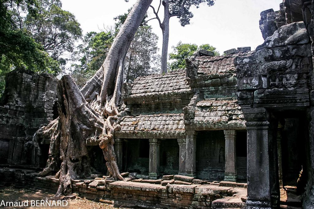 Preah Khan :