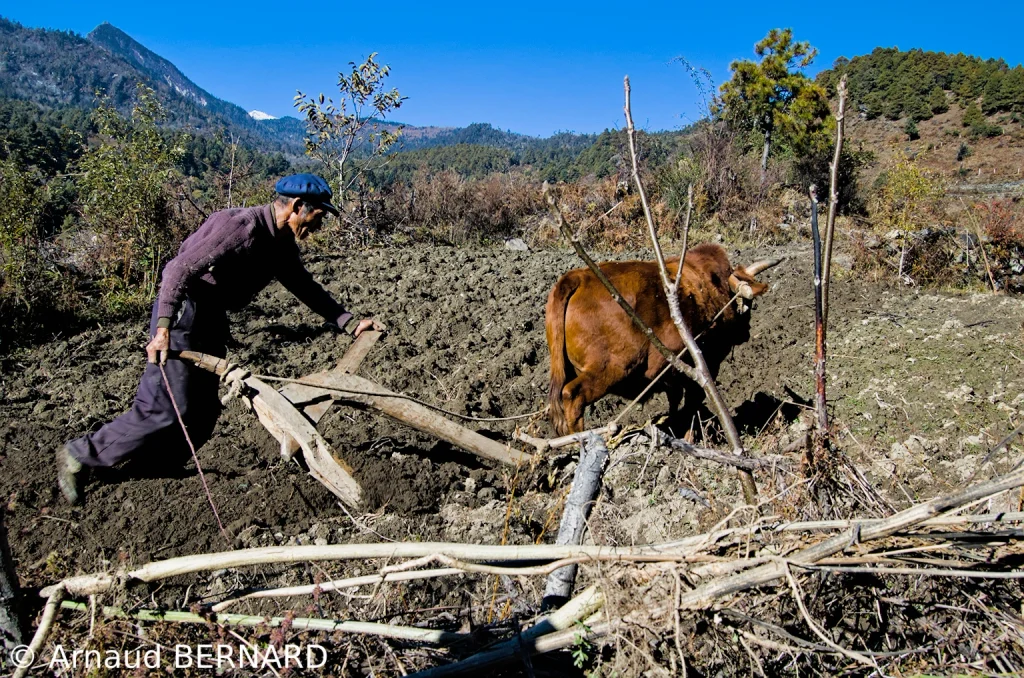 Agriculteur