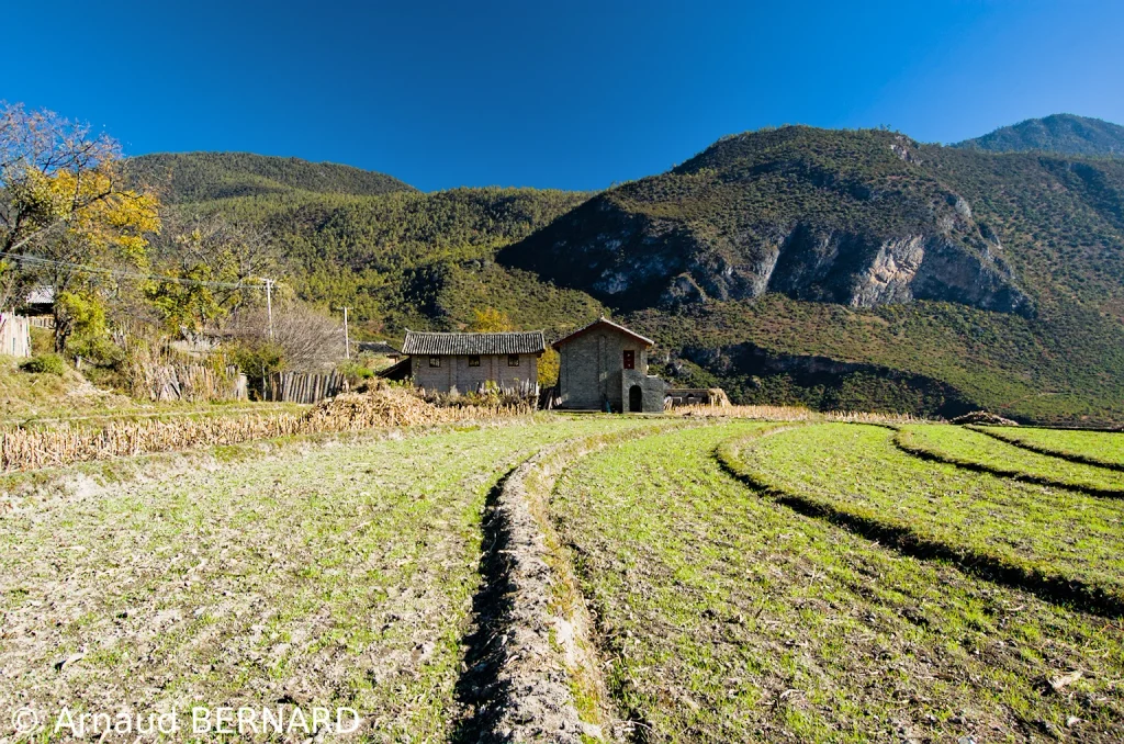Les terrasses agricoles
