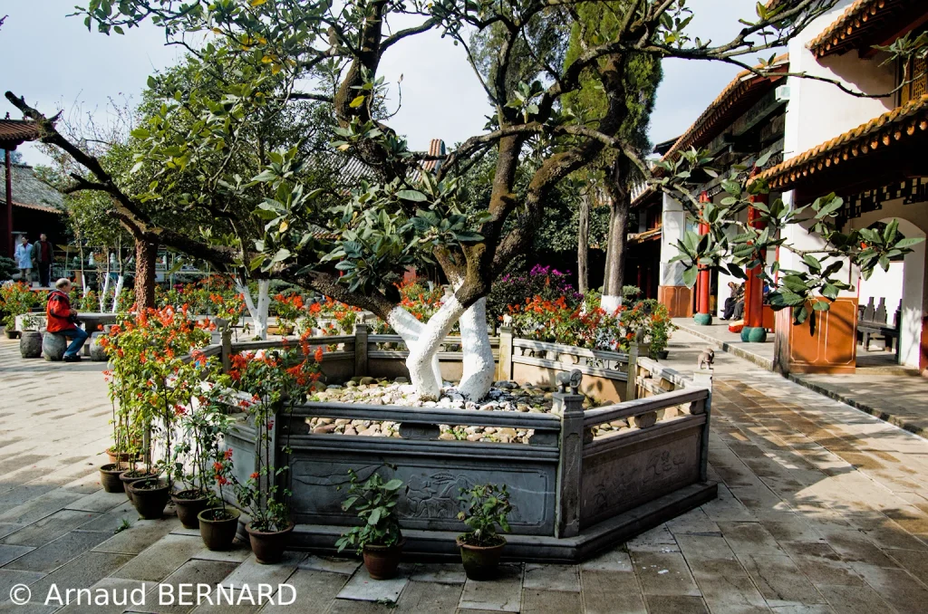 Le temple des Bambous
