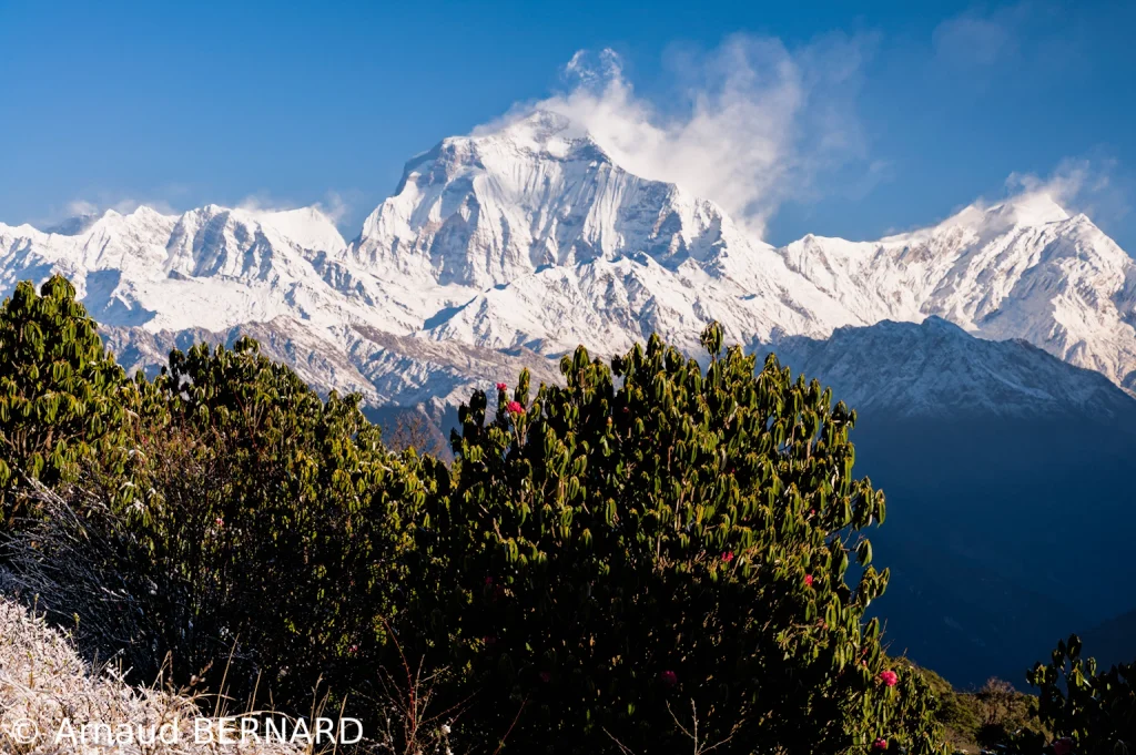 Belle vue du Dhaulagiri