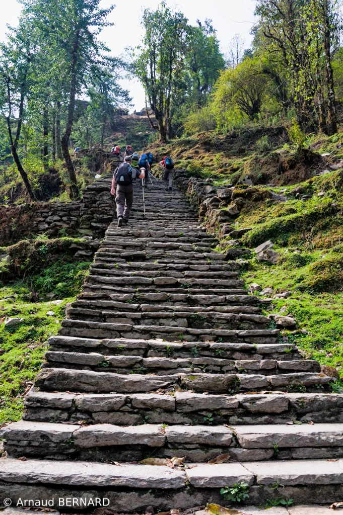 Montée sur un escalier assez raide