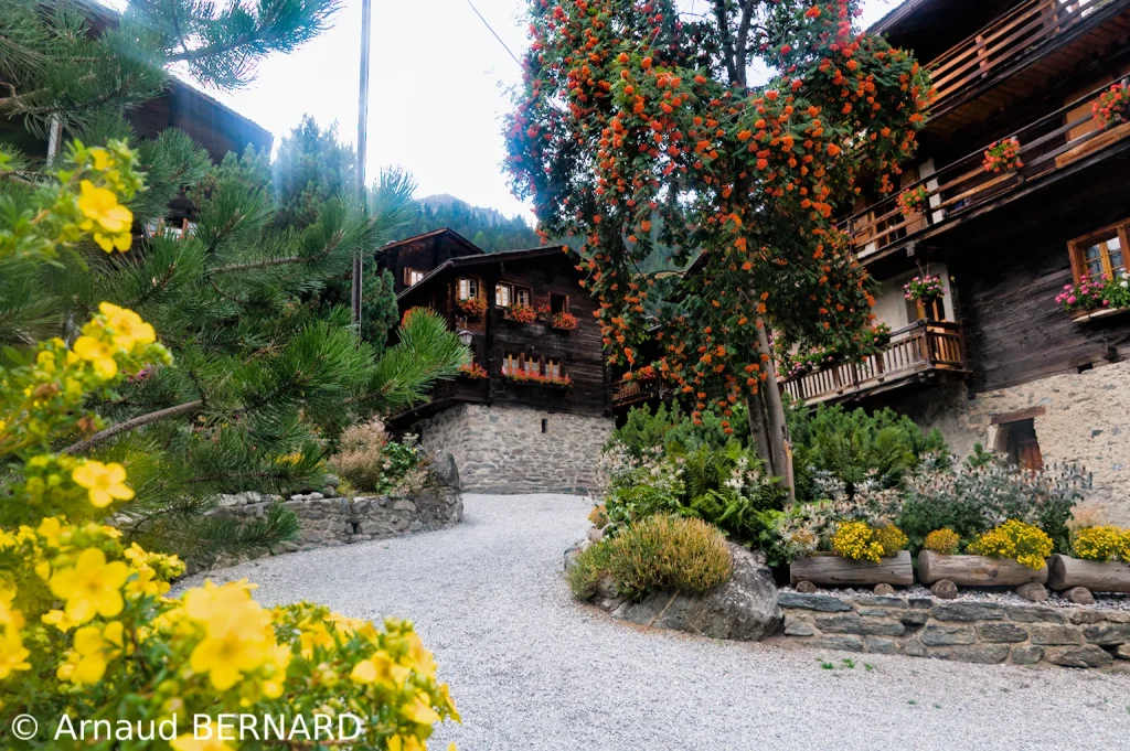 Beau village de Grimentz
