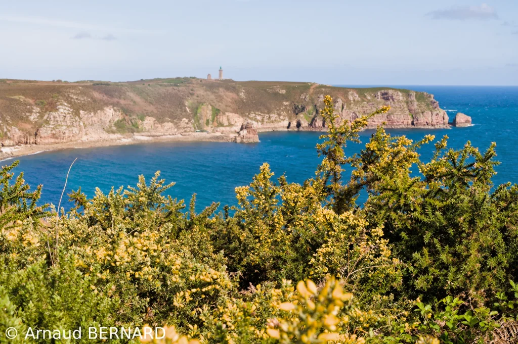 Vue sur le Cap Fréhel