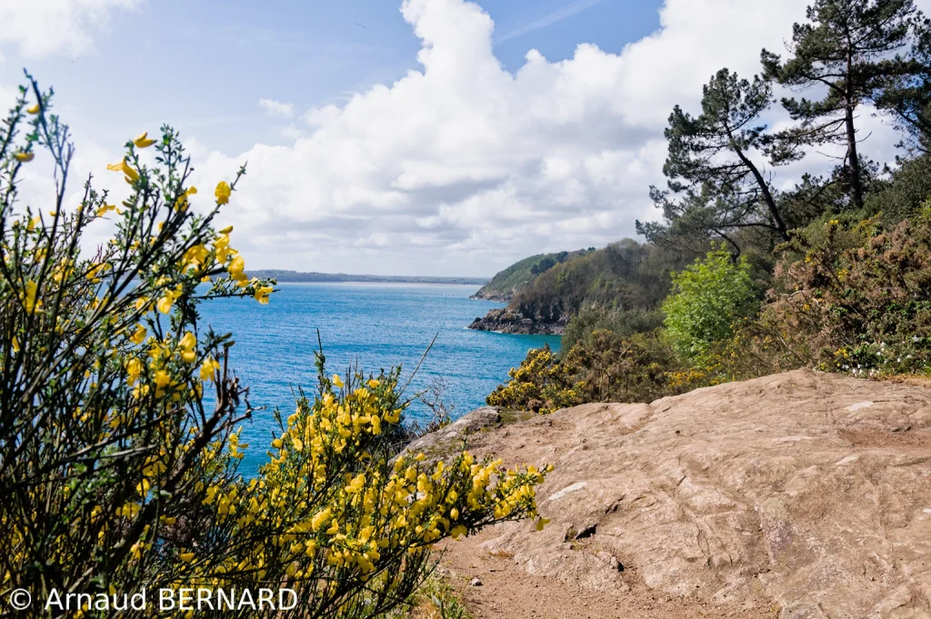 La côte de la baie de la Fresnaye