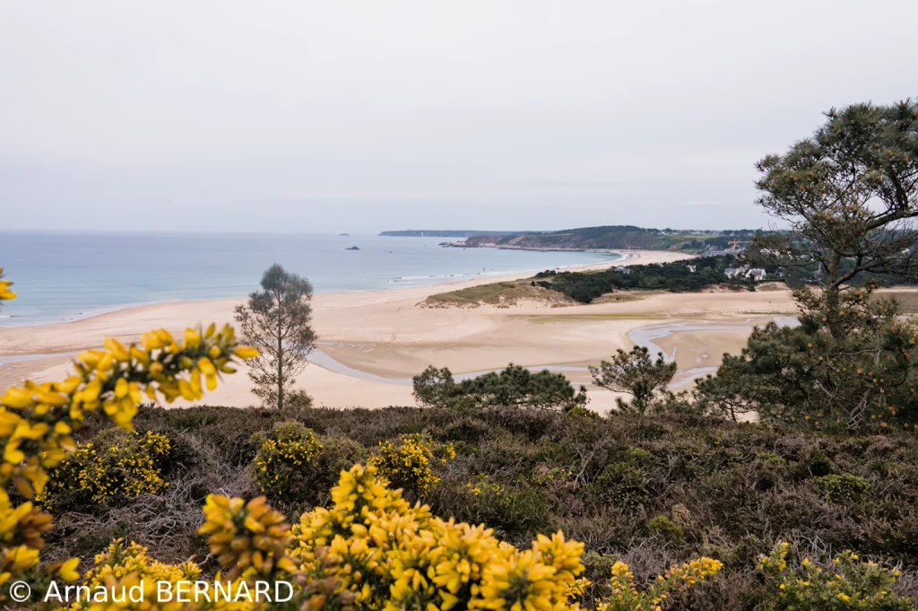 Plage des Sables d'Or