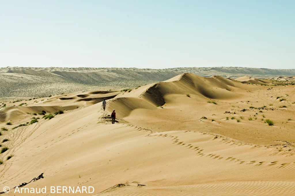 Désert de Wahiba
