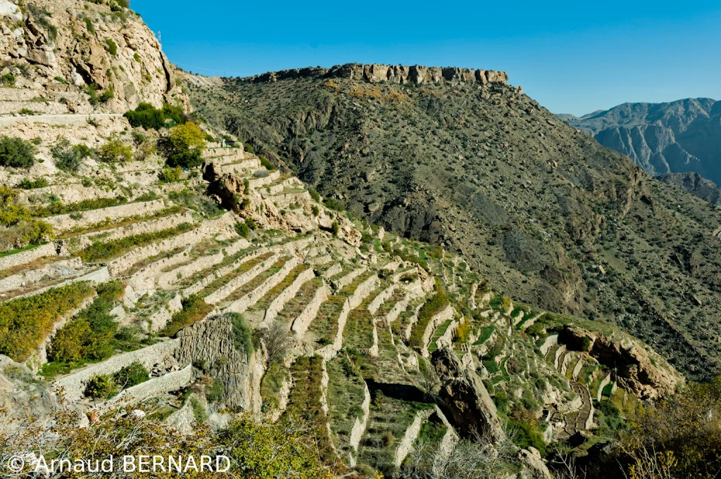 Plateau de Sayq
