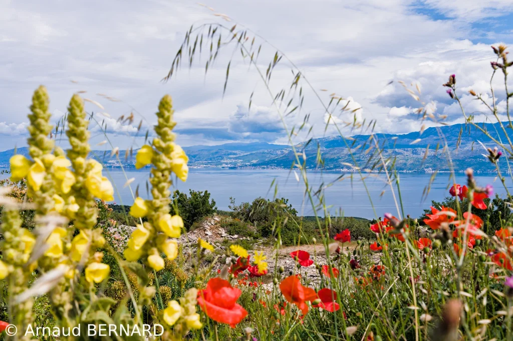 Sur les bords de l'Adriatique