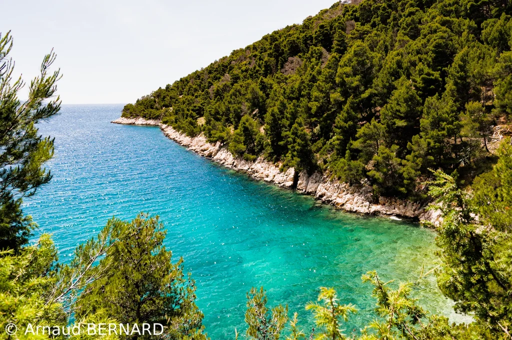 Bord de l'Adriatique