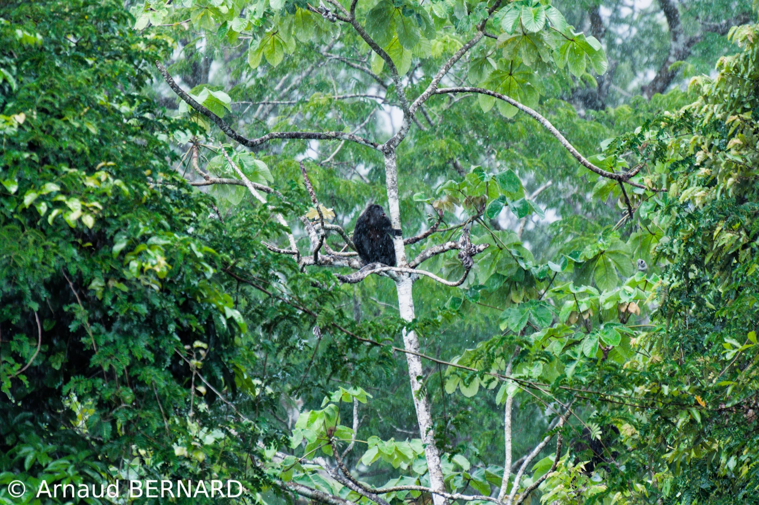 Costa – Rica – Richesses de la nature