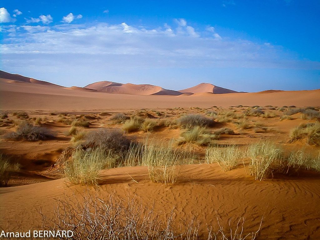 Désert de Mauritanie