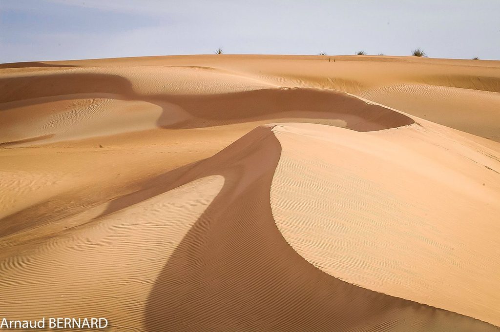 Dunes de Mauritanie