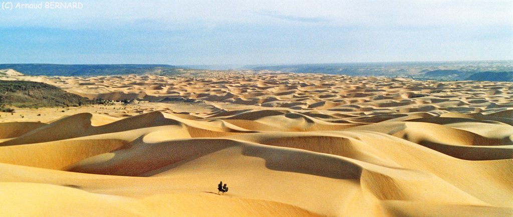 Immensité désertique