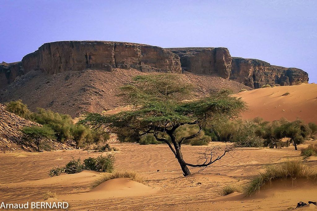 Paysages de Mauritanie