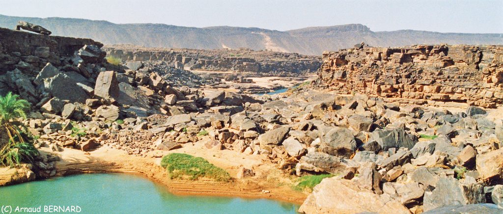 Quelques oasis