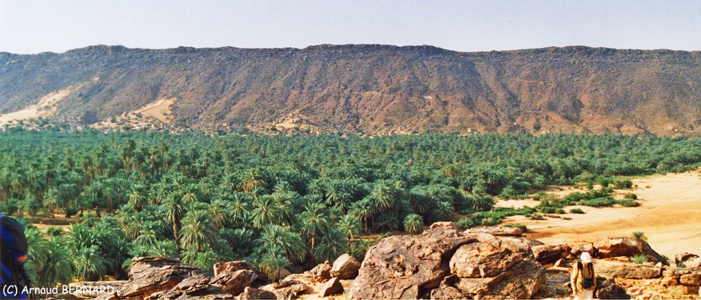 Palmeraie en plein désert
