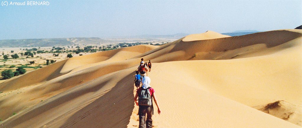 Sur les dunes de Mauritanie