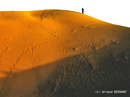 Hautes dunes de la vallée du Draa